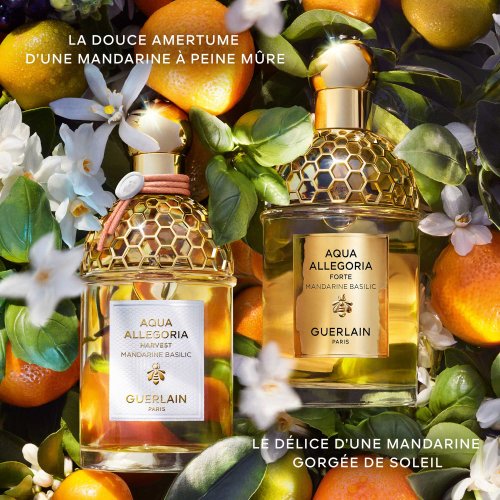 GUERLAIN  3346470146990
